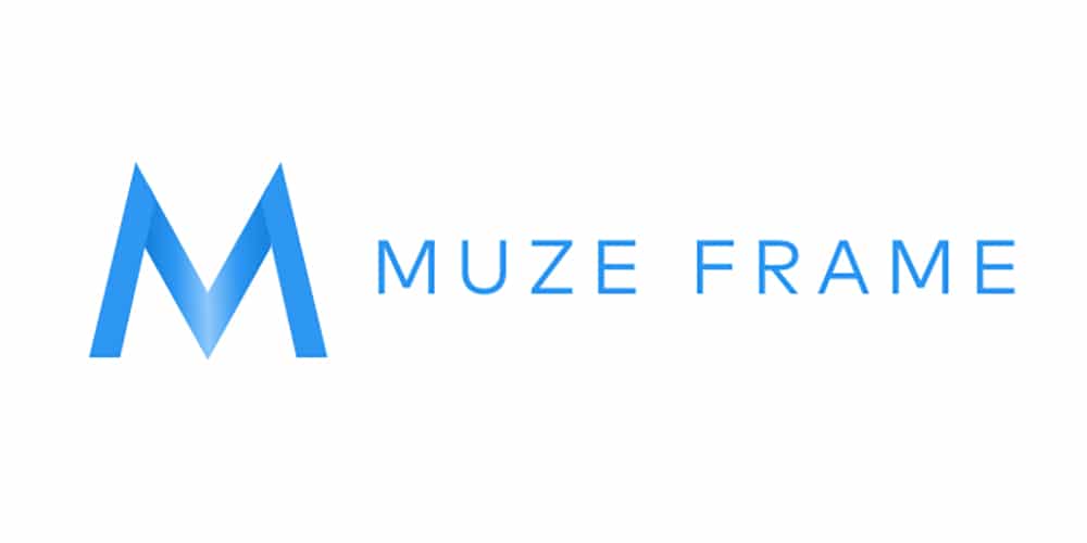 Muze Frame LLC